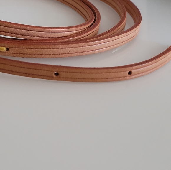 Authentic Louis Vuitton Strap For Walker! - Picture 6 of 10